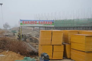 占地600畝，資中大型食品工業園蓄勢待發，年產值瞄準60億